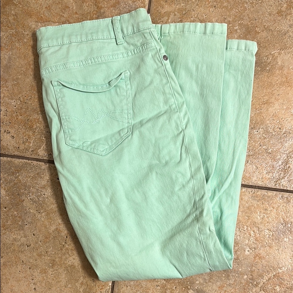 Mint Ankle Legging Style Capris